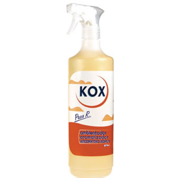 Kox αρωματικό χώρου paco rabanne σε spray 1000ml  Απορρυπαντικά