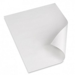 Χαρτί αφής λευκό  DELUXE 35 * 50 1kg Χαρτιά Vegetal Αφής