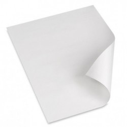 Χαρτί αφής λευκό  DELUXE 35 * 50 1kg Χαρτιά Vegetal Αφής