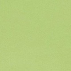 Χαρτοπετσέτα πολυτελείας λαχανή 24*24 2Φ 667x6 